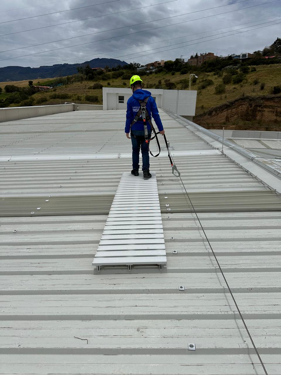 lineas de vida Pasto